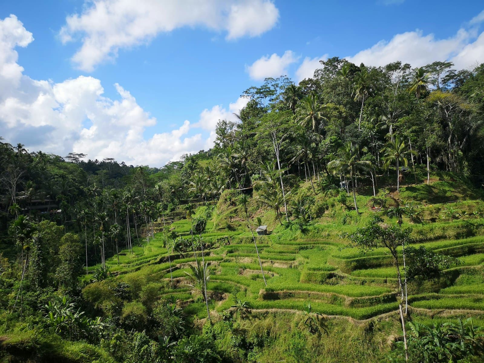 Cost of Living in Bali 2026: Real Monthly Budget Breakdown